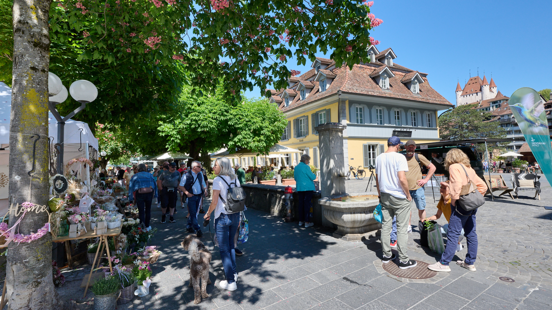 Contact - Shopping in der Thuner Innenstadt